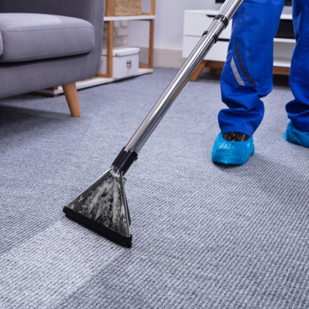 How to Start a Carpet Cleaning Business In 2026